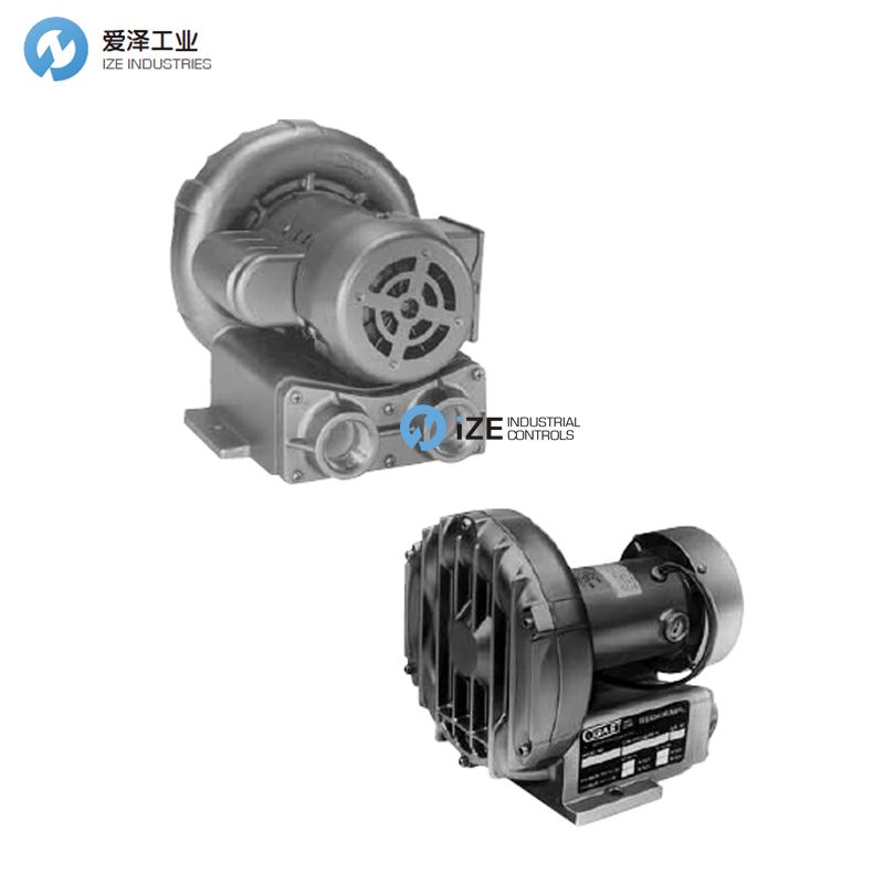 GAST風(fēng)機(jī)R1系列 示例REGENAIR R1102 愛澤工業(yè) izeindustries.jpg